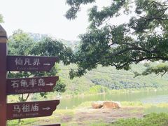 -广鹿岛景区