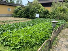 -重元寺香积厨素斋馆