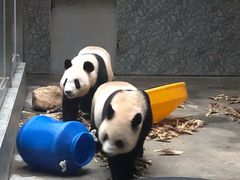 -西安秦岭野生动物园