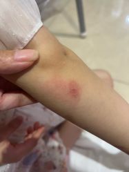 -奈尔宝·儿童乐园·亲子餐厅(星河湾店)