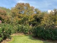 -人民公园(罗湖区)