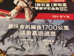 -龙人居·水煮鱼(五道口店)