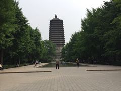 -玲珑塔公园