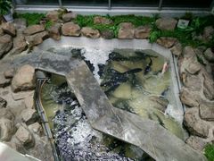 -春盛渔府(牛首山店)