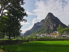 -明仕田园