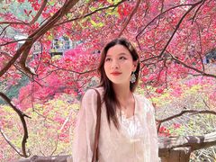 -木兰云雾山