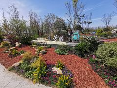 -上海长兴岛郊野公园