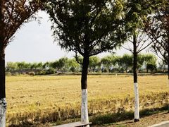 -嘉北郊野公园