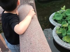 -老桐椿 · 上海大馄饨