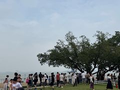 -南沙天后宫景区