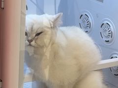 -FAELING PETS美天灵宠物(合生汇店)