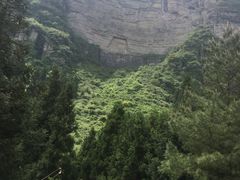 -重庆睡佛山森林公园
