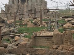 -石家庄市动物园