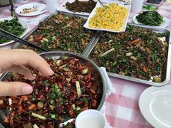 -铁山坪森林公园