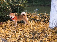 -白鹭湾湿地公园