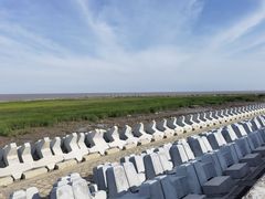 -南汇嘴观海公园