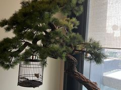 -潮上潮(南中环店)