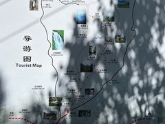 -王顺山国家森林公园