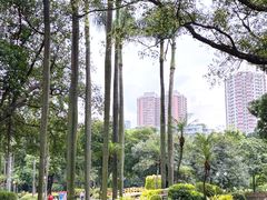 -晓港公园