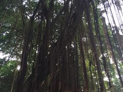 -晓港公园