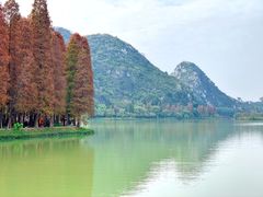 -星湖旅游景区七星岩
