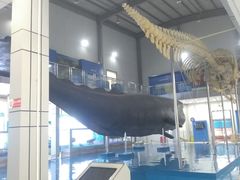 -上海海洋大学鱼文化博物馆(军工路校区)