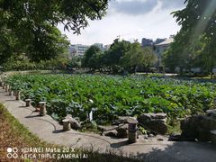 -广西大学(大学东路校区)