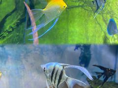 -常州海昌海洋探索馆