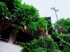 -重庆平顶山公园