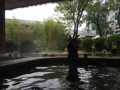 -中家鑫园温泉酒店鑫悦汤泉