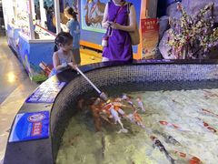 -烟台海昌鲸鲨海洋公园