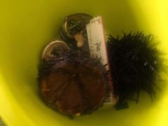 -胶东小渔村·博山菜(齐悦店)