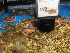 水产区-盒马鲜生(岭南新世界店)