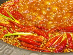 -蜀大侠火锅(建设路第五大道店)