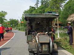 -上海长兴岛郊野公园