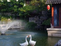 -祝家花園(伯渎港店)