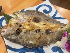 -菊上日式料理(蚌埠银泰店)