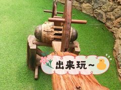 -呀路古热带植物园