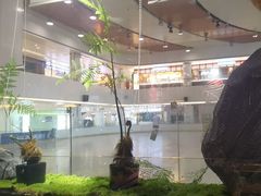 -吉庆莲年有鱼炭烤鱼(苏宁广场店)