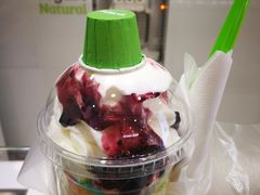 -Salud撒露欧洲冻酸奶(蓝色港湾店)