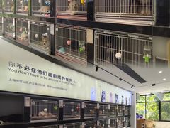 -翊宠yipet猫狗购宠庄园犬舍•猫舍