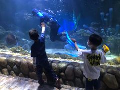 -华夏文旅海洋公园