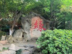 -杭州黄龙洞