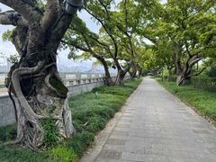 -江心屿景区