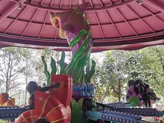 -美的鹭湖探索王国
