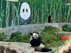 -南昌动物园