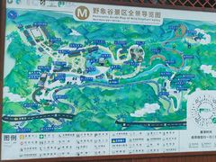 -野象谷景区