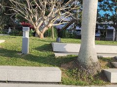 -四海公园(南山区)