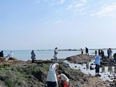 -巧克力渔家.小船海鲜胶东菜(万平口店)