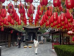 -大槐树寻根祭祖园